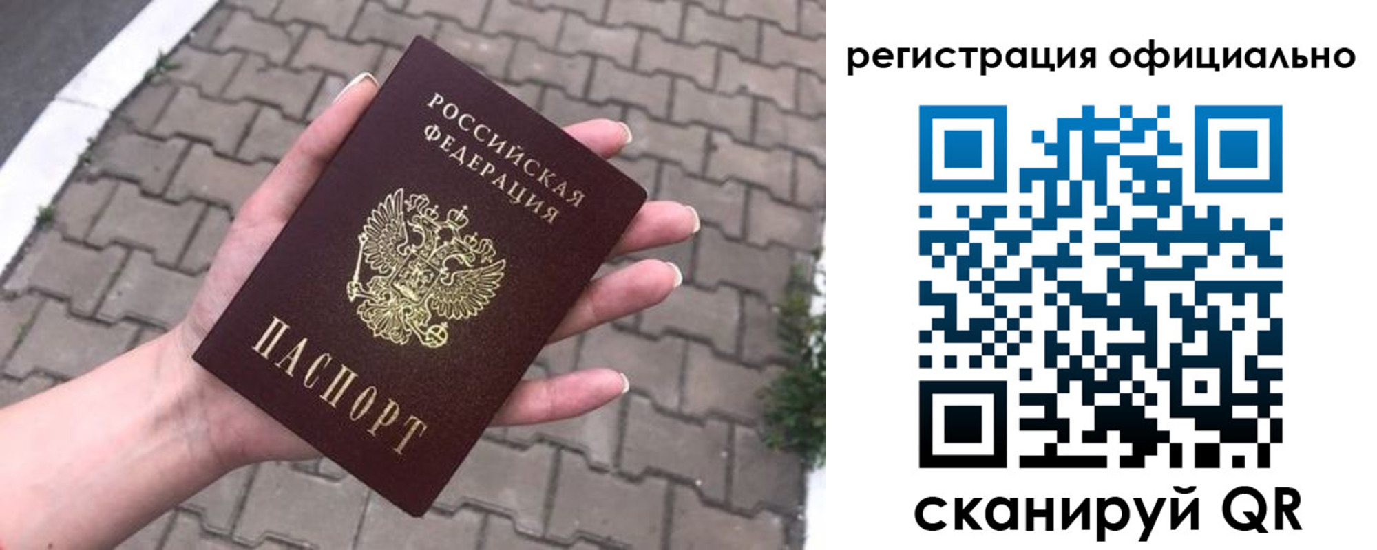 прописка 2025 в Волосово